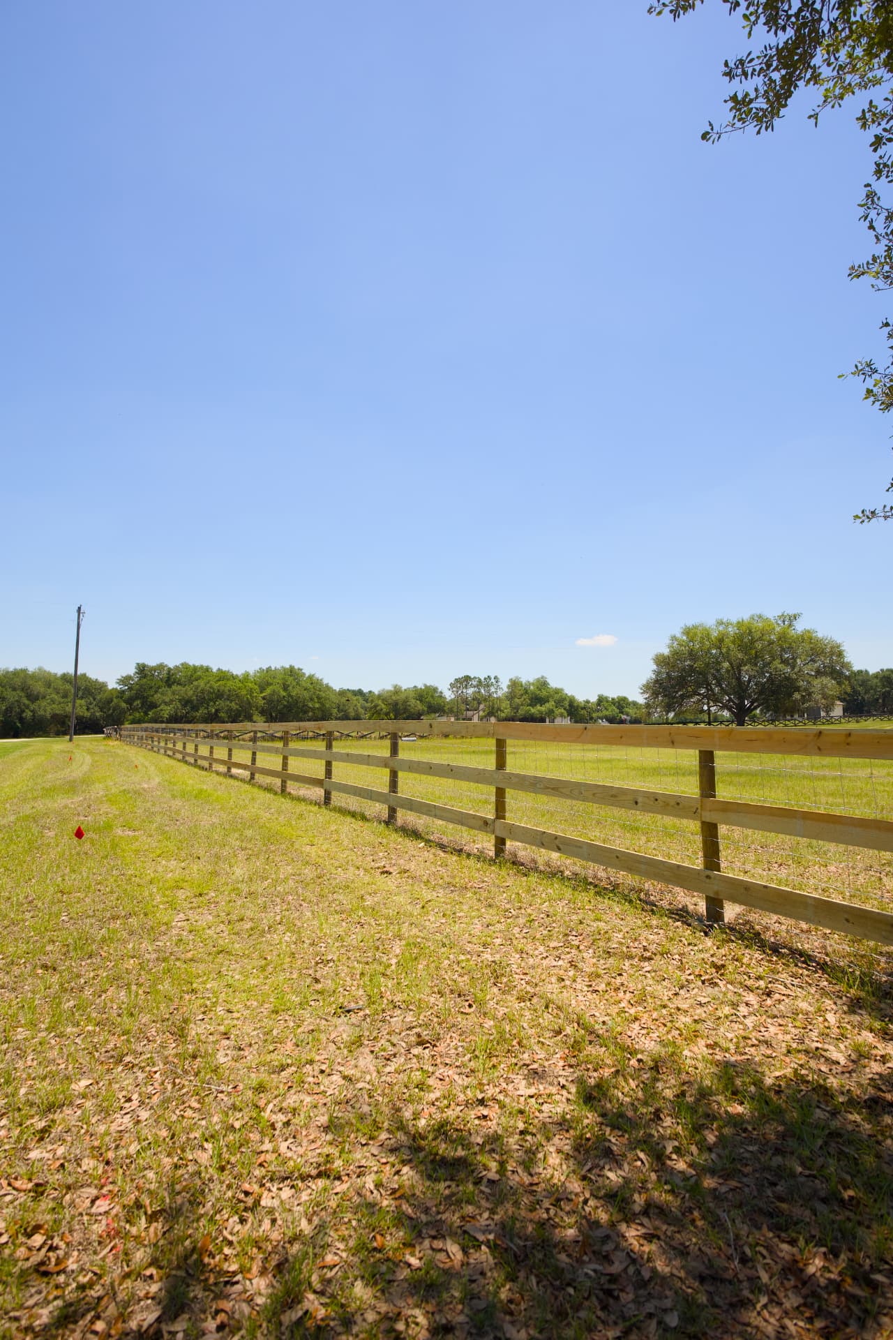 Wood ranch rail fence installed on a Central Florida property